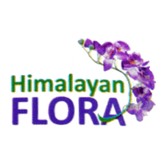 हिमालयन फ़्लोरा लोगो